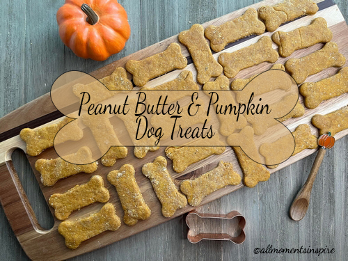 Peanut Butter & Pumpkin Dog Treats