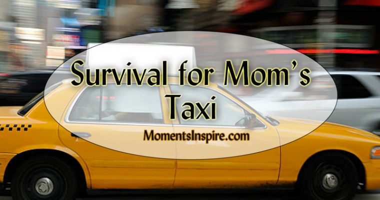Survival for Mom’s Taxi